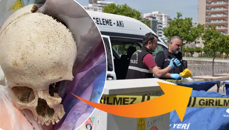 Sitenin Çöpünden Çıkan Kafatasının Gizemi ve Doktorun Gözaltına Alınması
