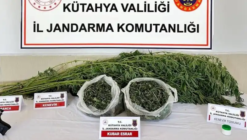 Kütahya'da Uyuşturucu Operasyonu: Şok Gelişmeler ve Tek Bir Gözaltı