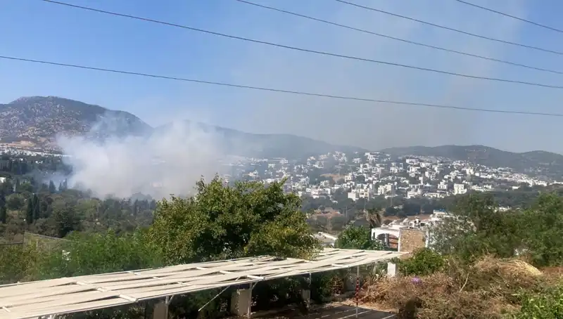 Muğla Orman Yangınları Kontrol Altına Alındı! Zararlar ve Gelecek Adımlar Neler?