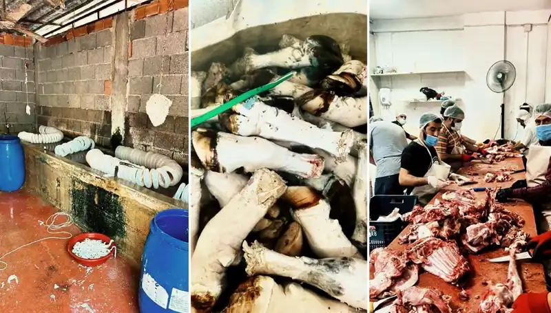 Adana'da Şok Eden Görüntüler: Yüzlerce Kilo Sağlıksız Paça Ele Geçirildi