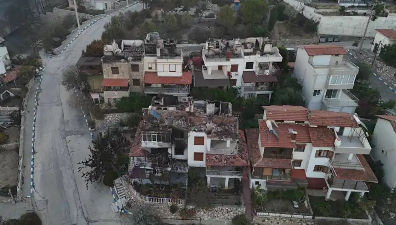 Türkiye'nin Orman Yangınlarında Son Durum: Canlar ve Doğaya Zarar