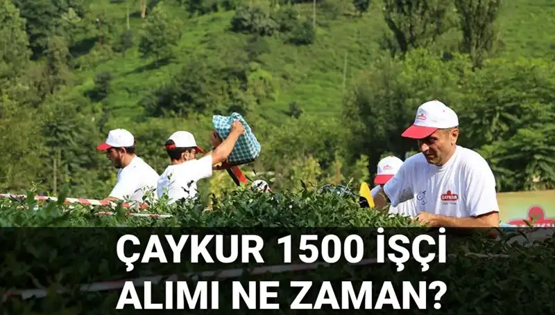 Çaykur İşçi Alımı Başvuruları Başladı: Tüm Detaylar Burada!