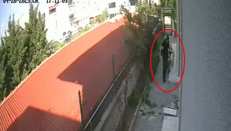 Doktorun Korkunç Sırları: Sahiplendiği Köpekleri Neden Öldürdü?