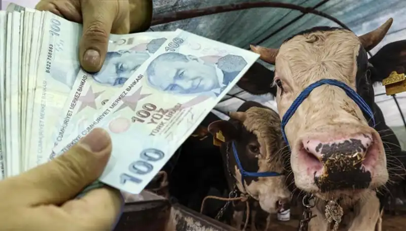 Emekli ve Memur Maaşları Bayram Öncesi Yatacak mı? Müjdeli Haber!