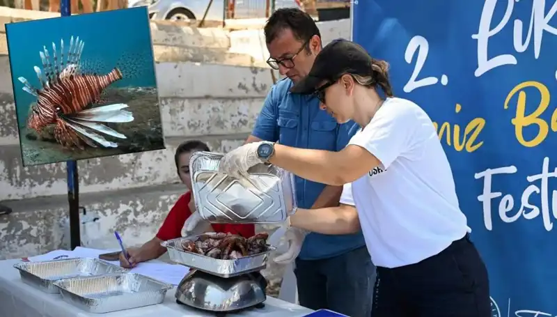 Antalya'da İstilacı Aslan Balığı Avlama Yarışması: Eğlence ve Bilinç