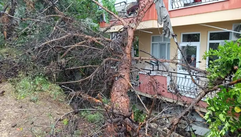Aşırı Yağmur, Eski Bina Çökmesine Neden Oldu: Şok Edici Görüntüler