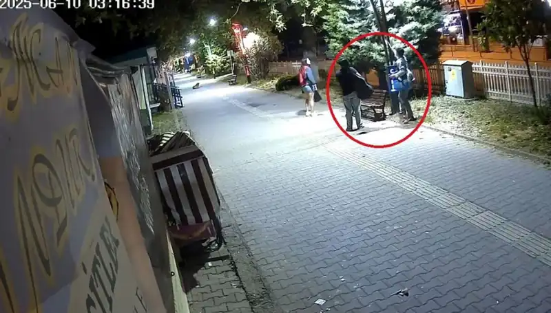 Aydınlatma Direklerindeki LED Işıkları Sökerek Şok Eden Zarar: 300 Bin TL!