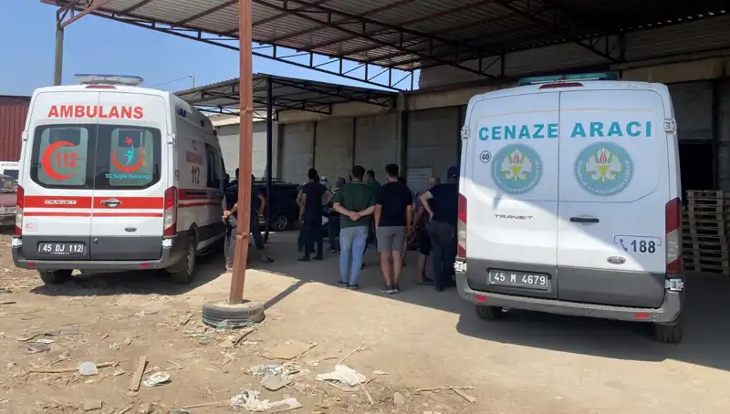 Marangozun Gizemli Ölümü: Çürüyen Ahşapların Ardındaki Karanlık Sır