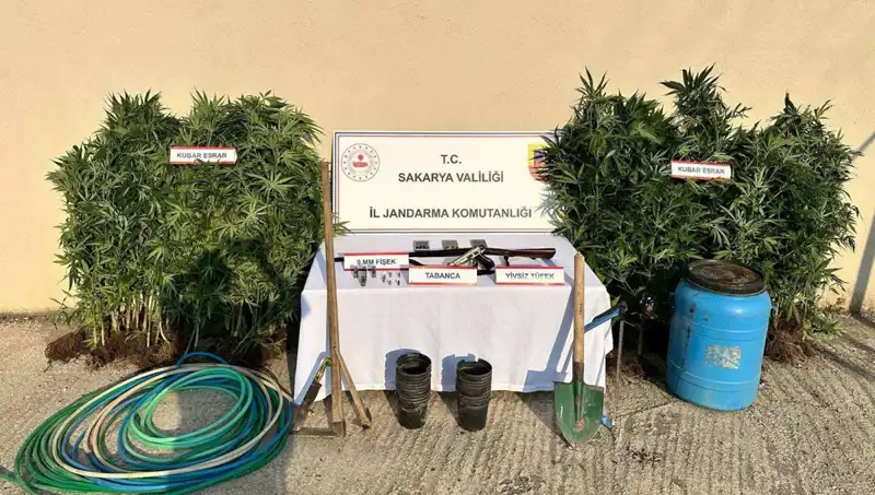 Sakarya’da Uyuşturucu Operasyonu: Polis Harekete Geçti, 1 Kişi Tutuklandı