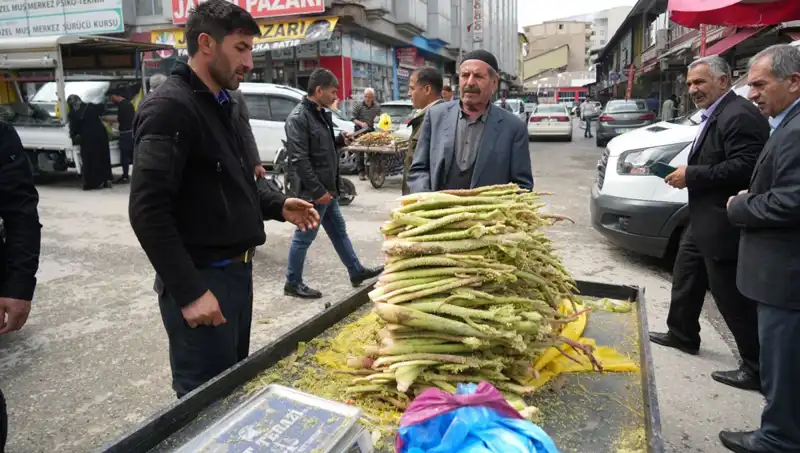 Dağlık Alanlarda Şeker Toplama Geleneği: Kanser ve Mide Hastalıklarına İyi Geldiği İddia Ediliyor
