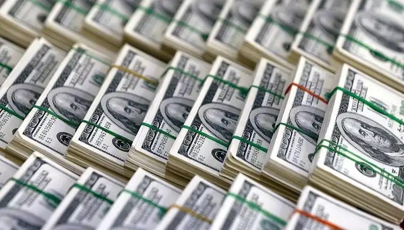 Doların Hızla Yükselişine Dikkat: Ekonomistler Uyarıyor!