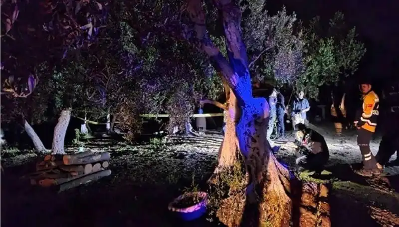 Çiftlikte Baltalı Vahşet: Soruşturma Derinleşiyor, Bir Tutuklama Var!